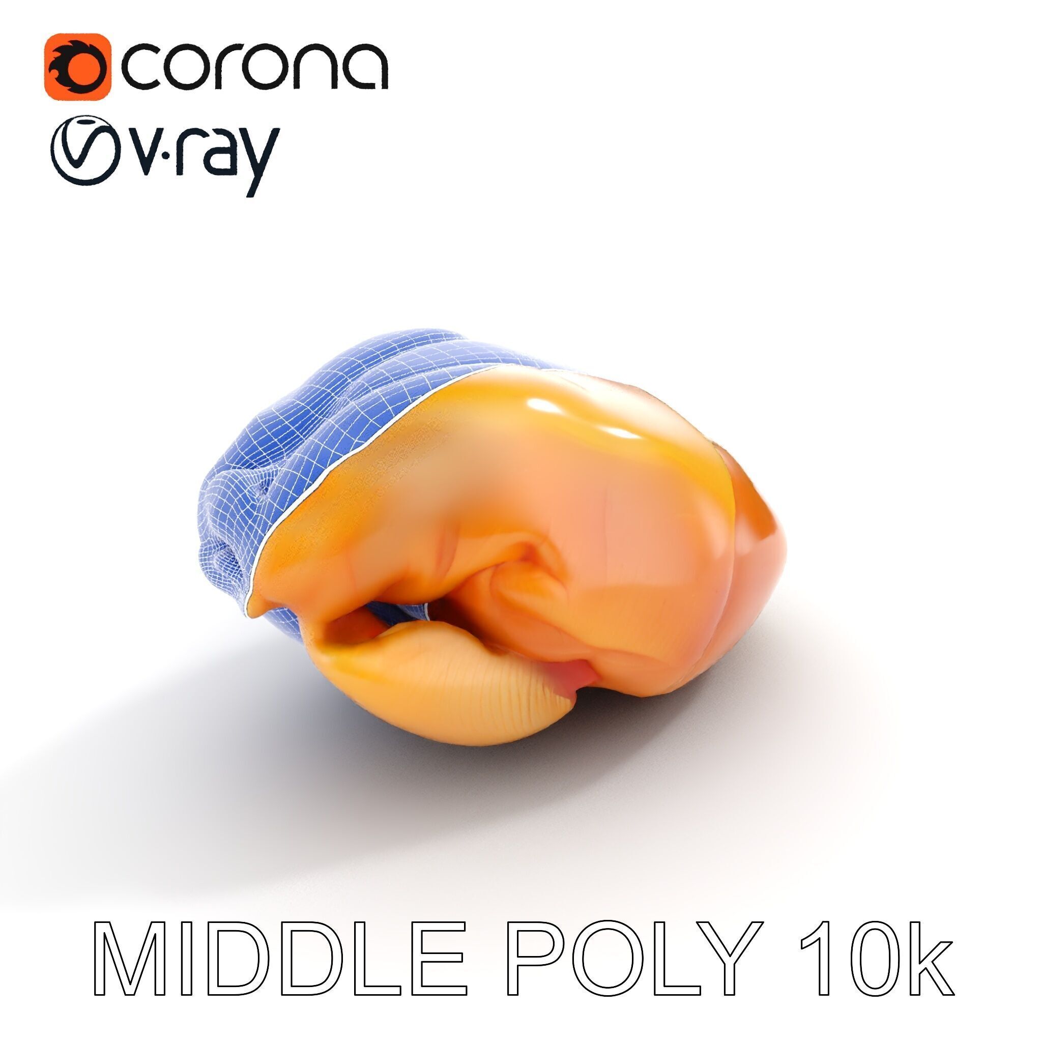 Realistic Chicken Breast Model Pack for Culinary and Educatio... Low-poly 3D model_13