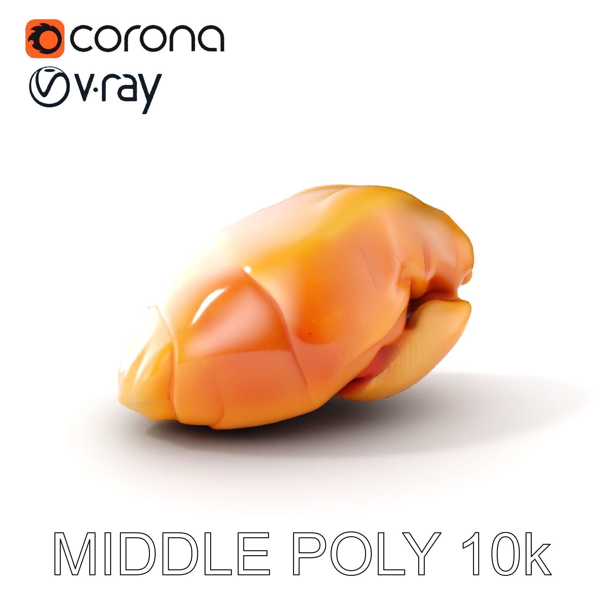 Realistic Chicken Breast Model Pack for Culinary and Educatio... Low-poly 3D model_25