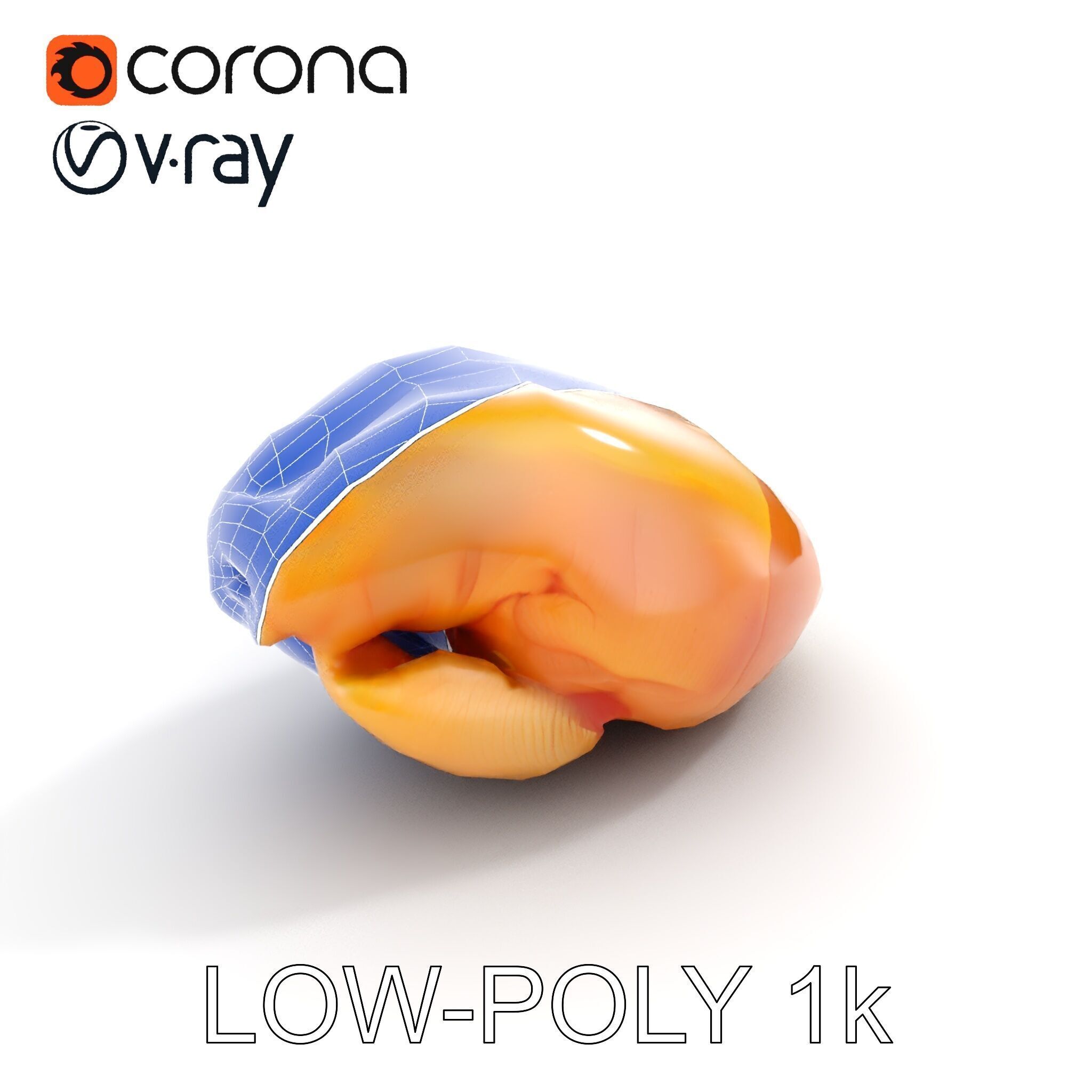 Realistic Chicken Breast Model Pack for Culinary and Educatio... Low-poly 3D model_26