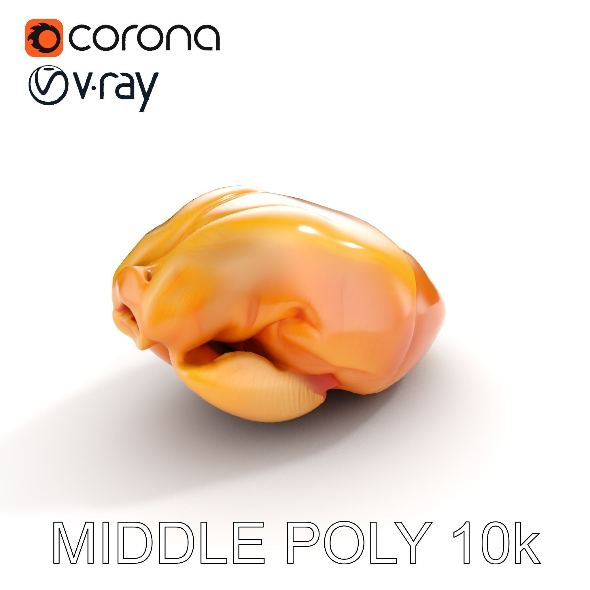 Realistic Chicken Breast Model Pack for Culinary and Educatio... Low-poly 3D model_6