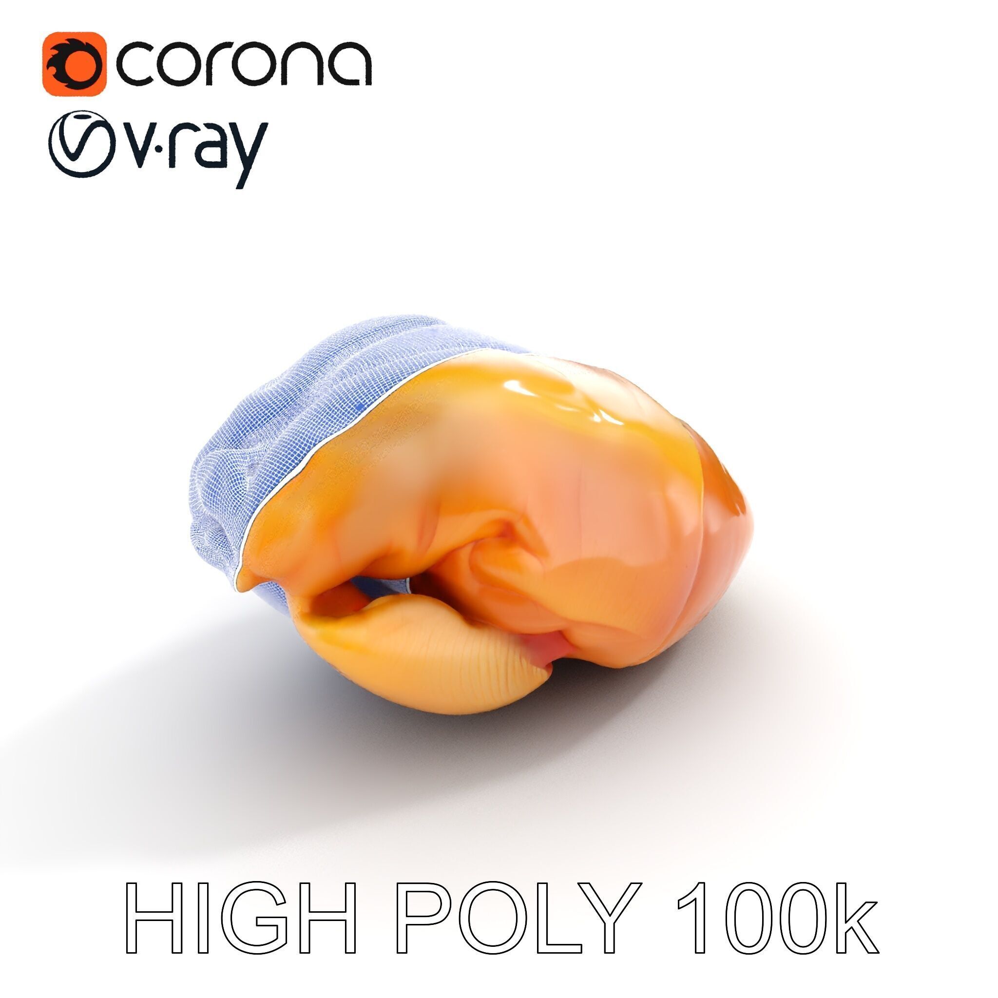 Realistic Chicken Breast Model Pack for Culinary and Educatio... Low-poly 3D model_24