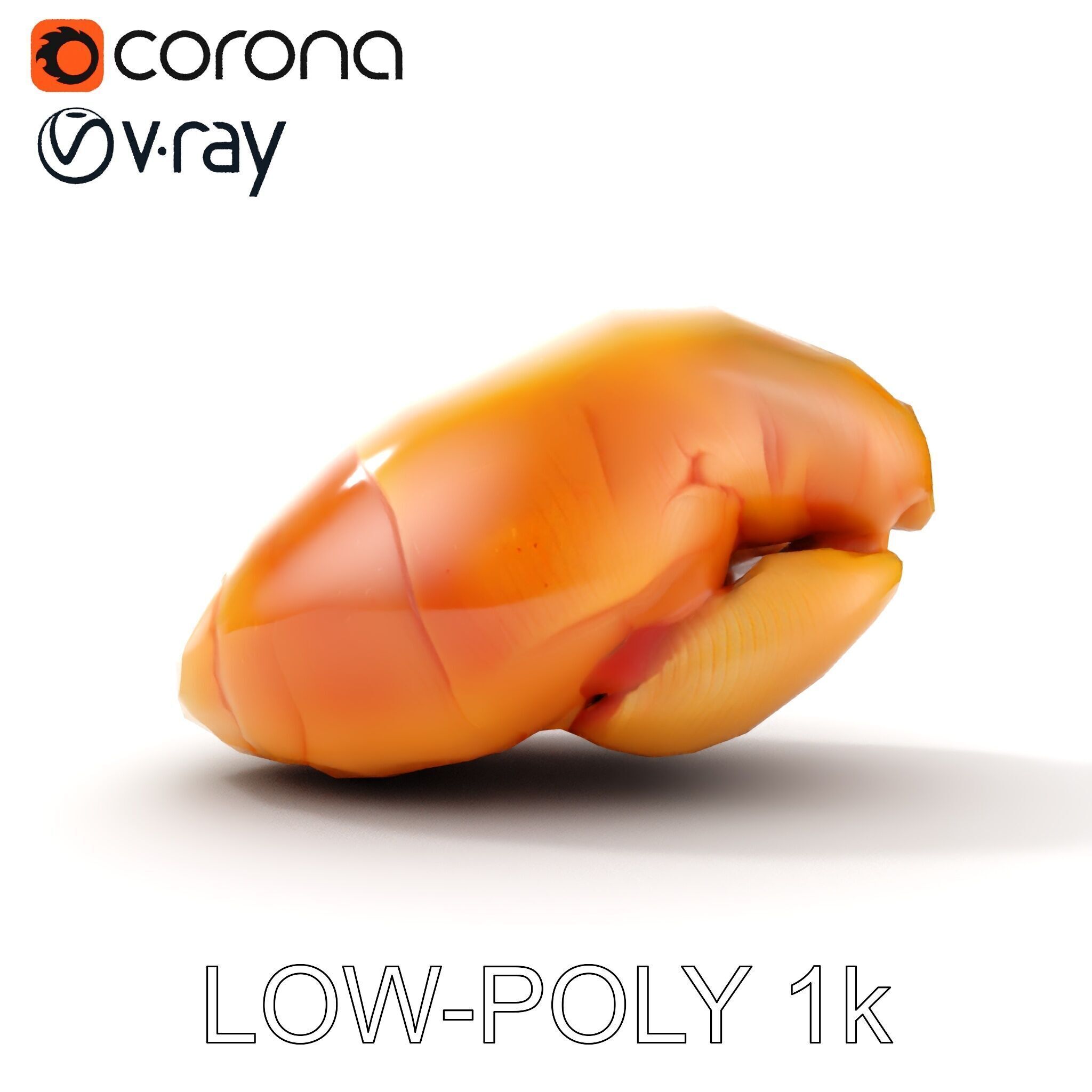 Realistic Chicken Breast Model Pack for Culinary and Educatio... Low-poly 3D model_28