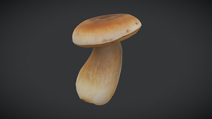 King Oyster Mushroom Low-poly 3D model