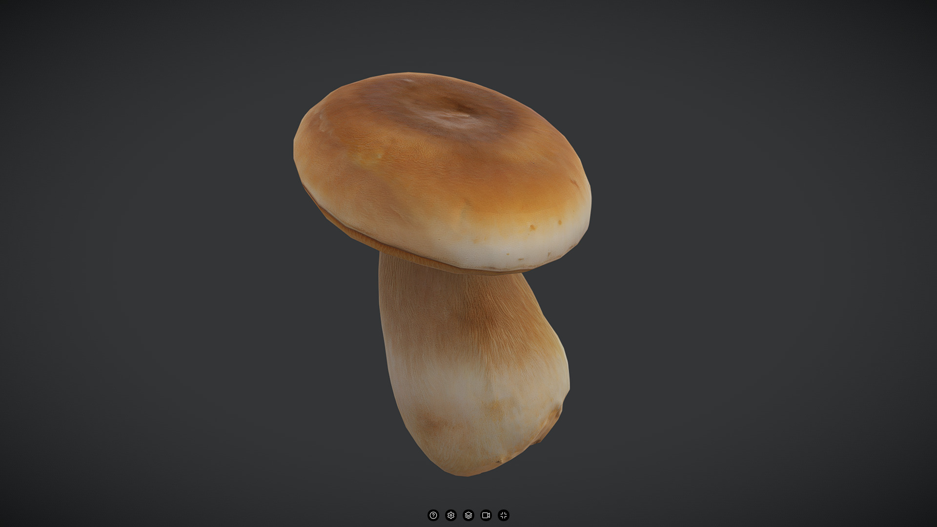 King Oyster Mushroom Low-poly 3D model_5