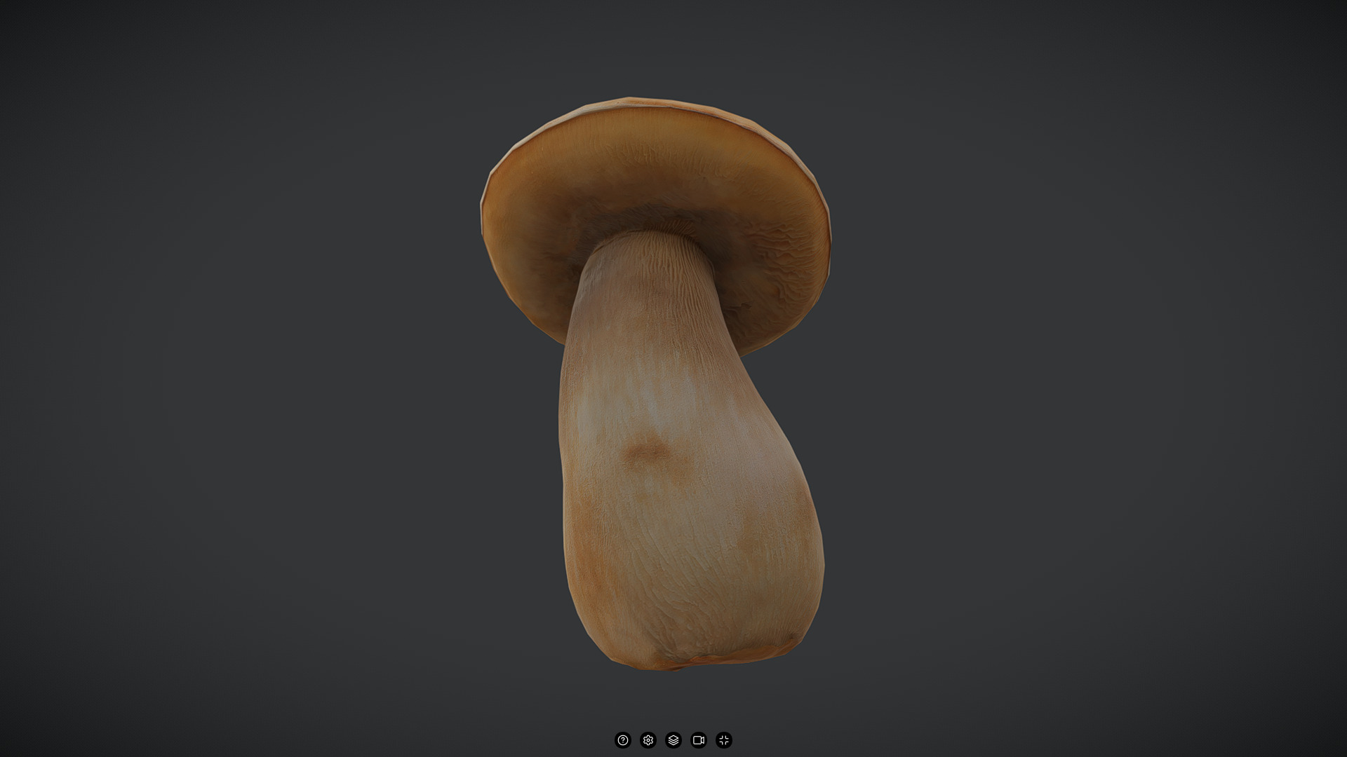 King Oyster Mushroom Low-poly 3D model_3