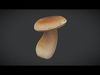 King Oyster Mushroom Low-poly 3D model_1