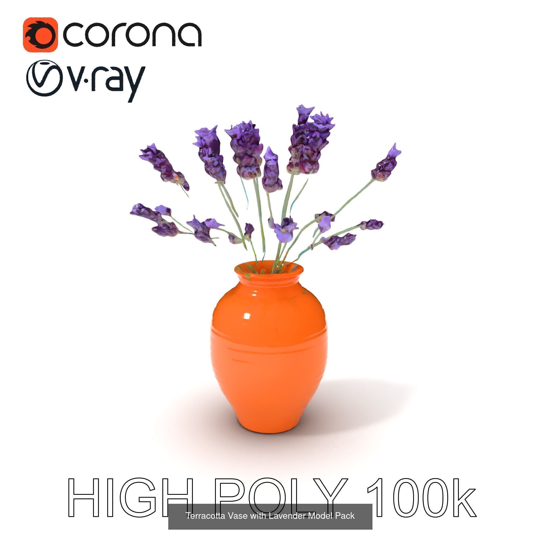 Vibrant Vase 3D Model Pack 3D Model Collection_13