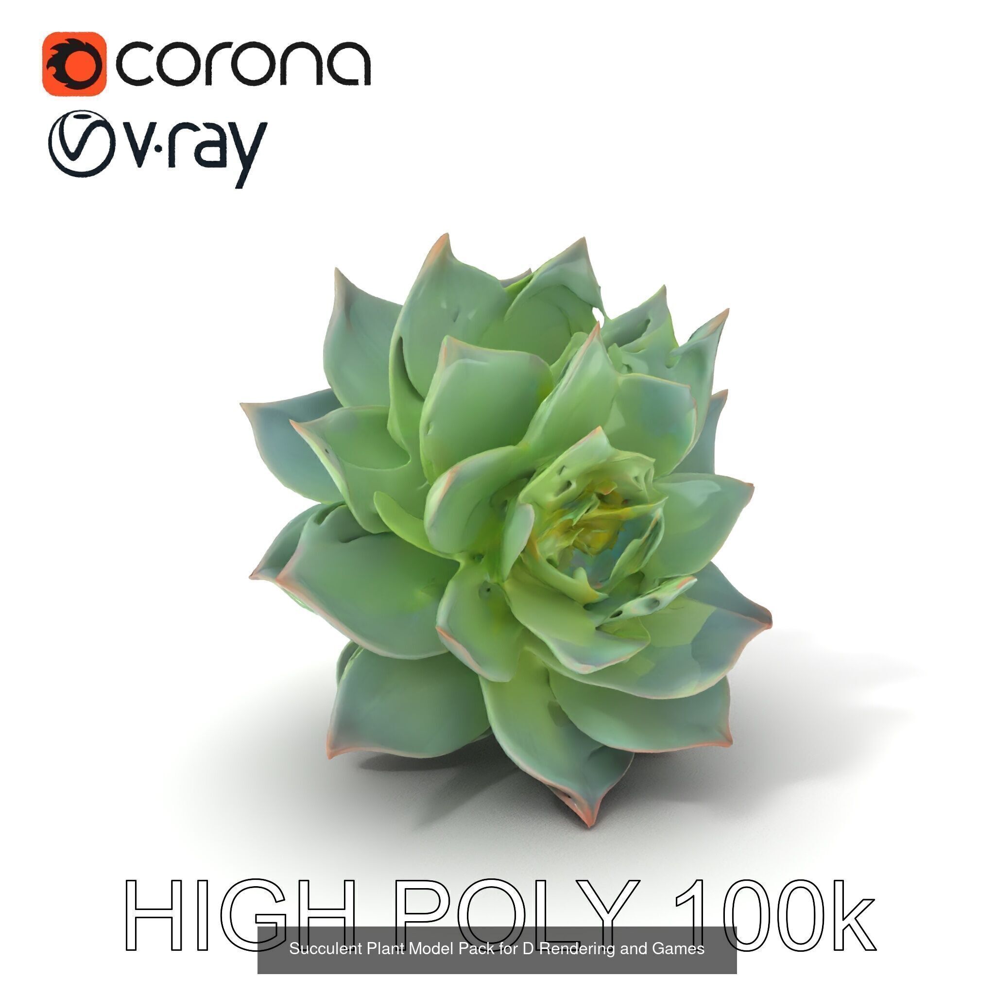 Vibrant Vase 3D Model Pack 3D Model Collection_16