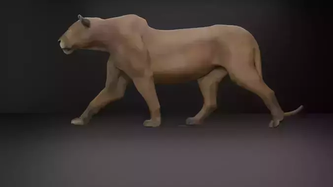 Female Lion with Walk Animation