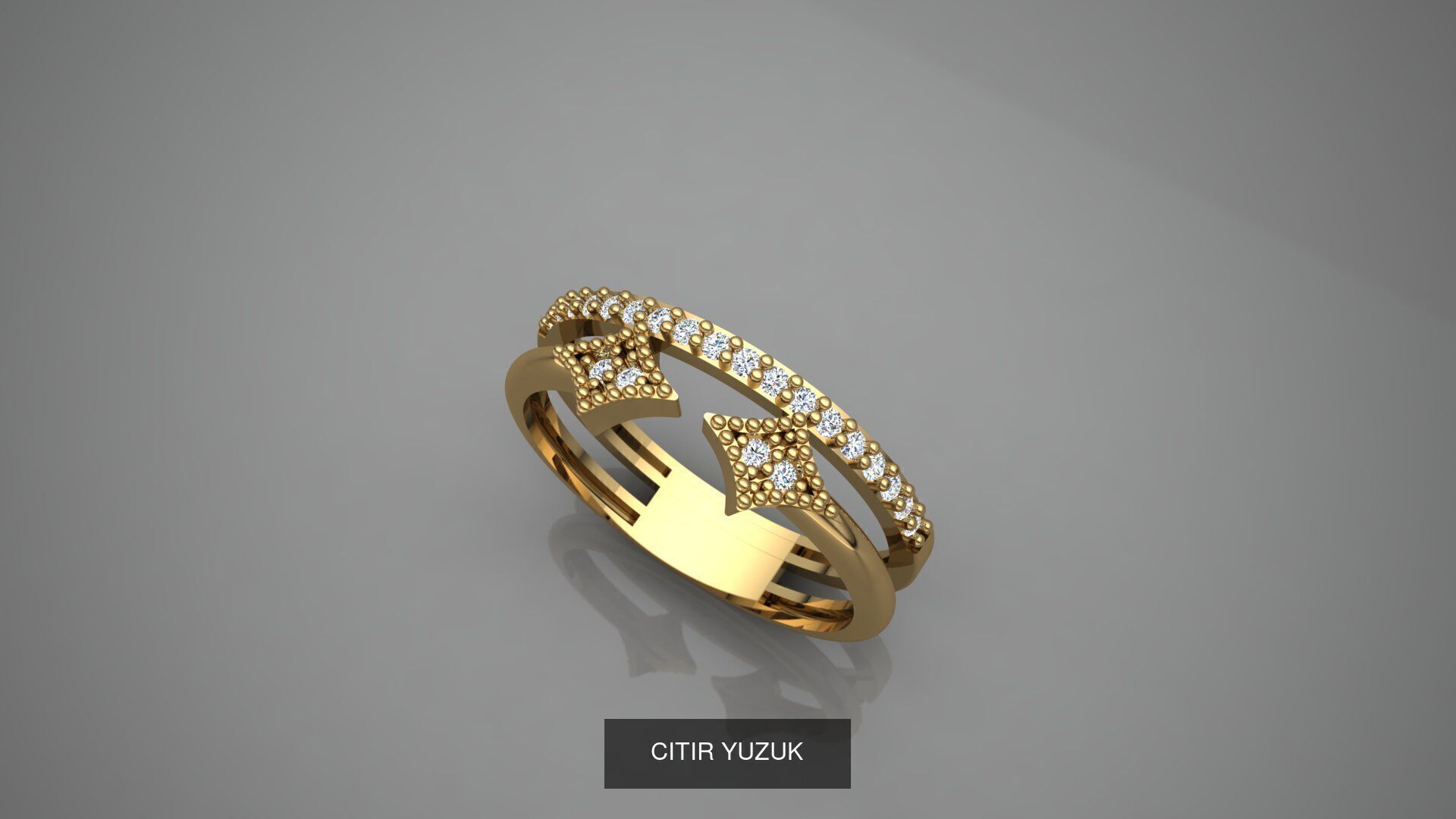 CITIR YUZUK 3D Model Collection_22