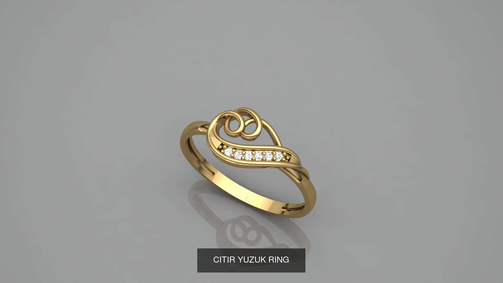 CITIR YUZUK 3D Model Collection_11