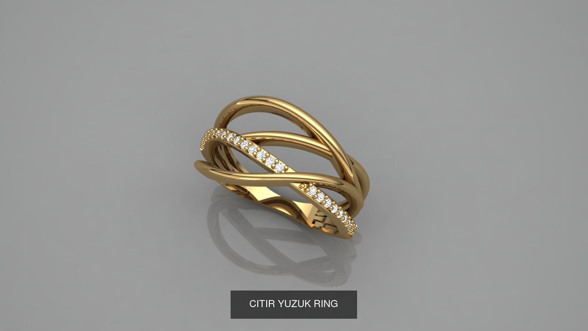 CITIR YUZUK 3D Model Collection_19