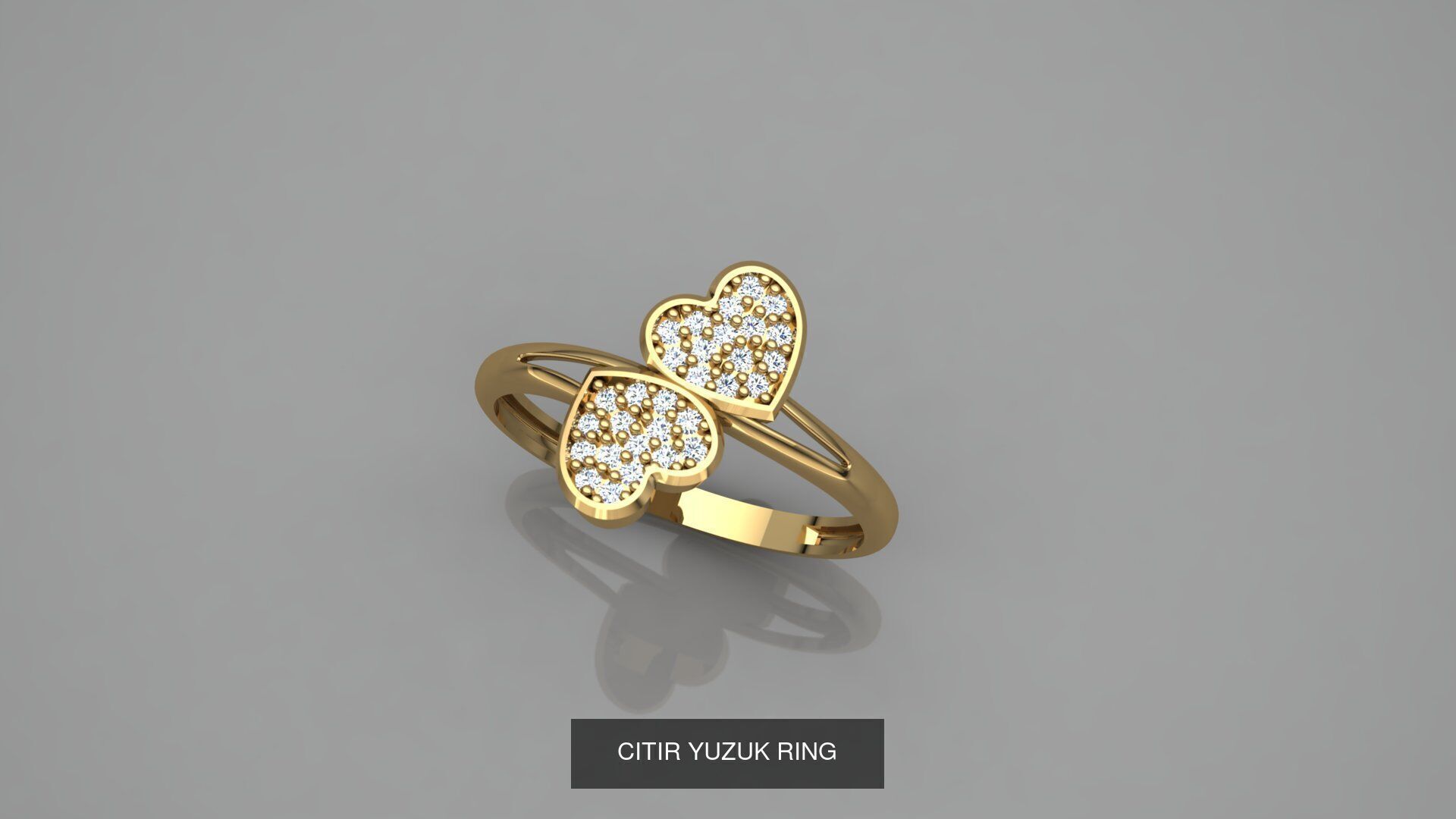 CITIR YUZUK 3D Model Collection_25