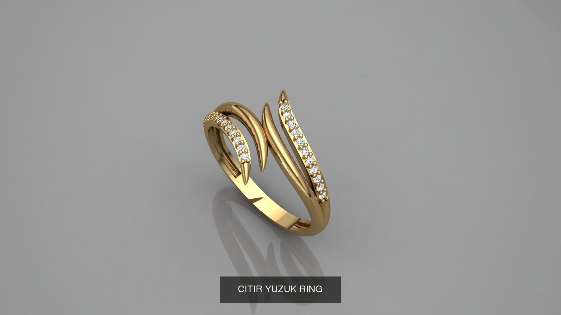 CITIR YUZUK 3D Model Collection_17
