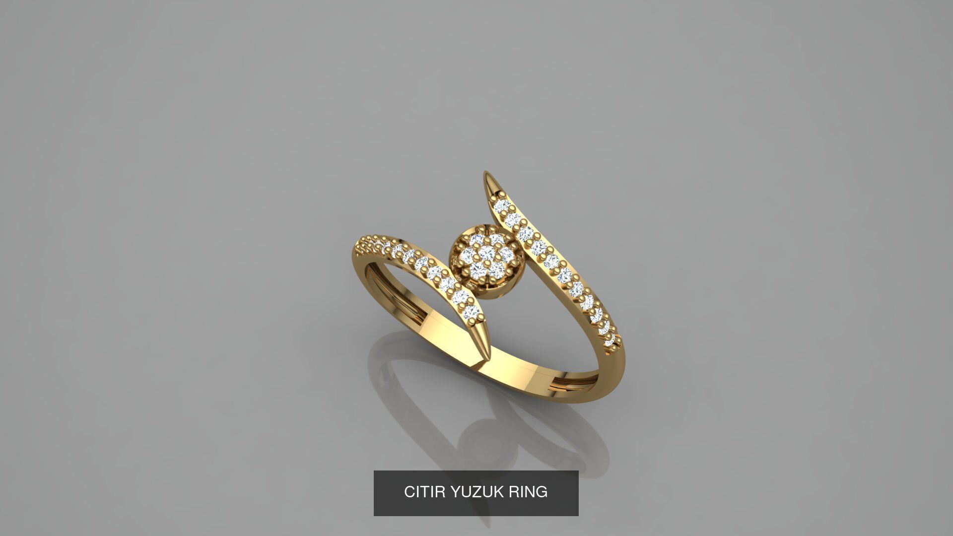 CITIR YUZUK 3D Model Collection_16