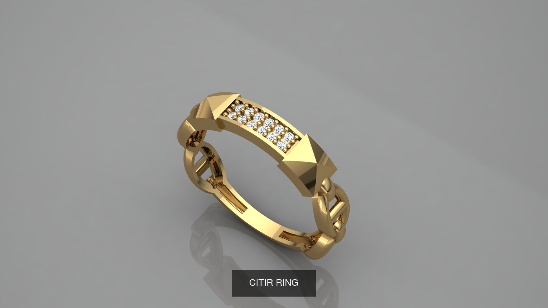 CITIR YUZUK 3D Model Collection_9