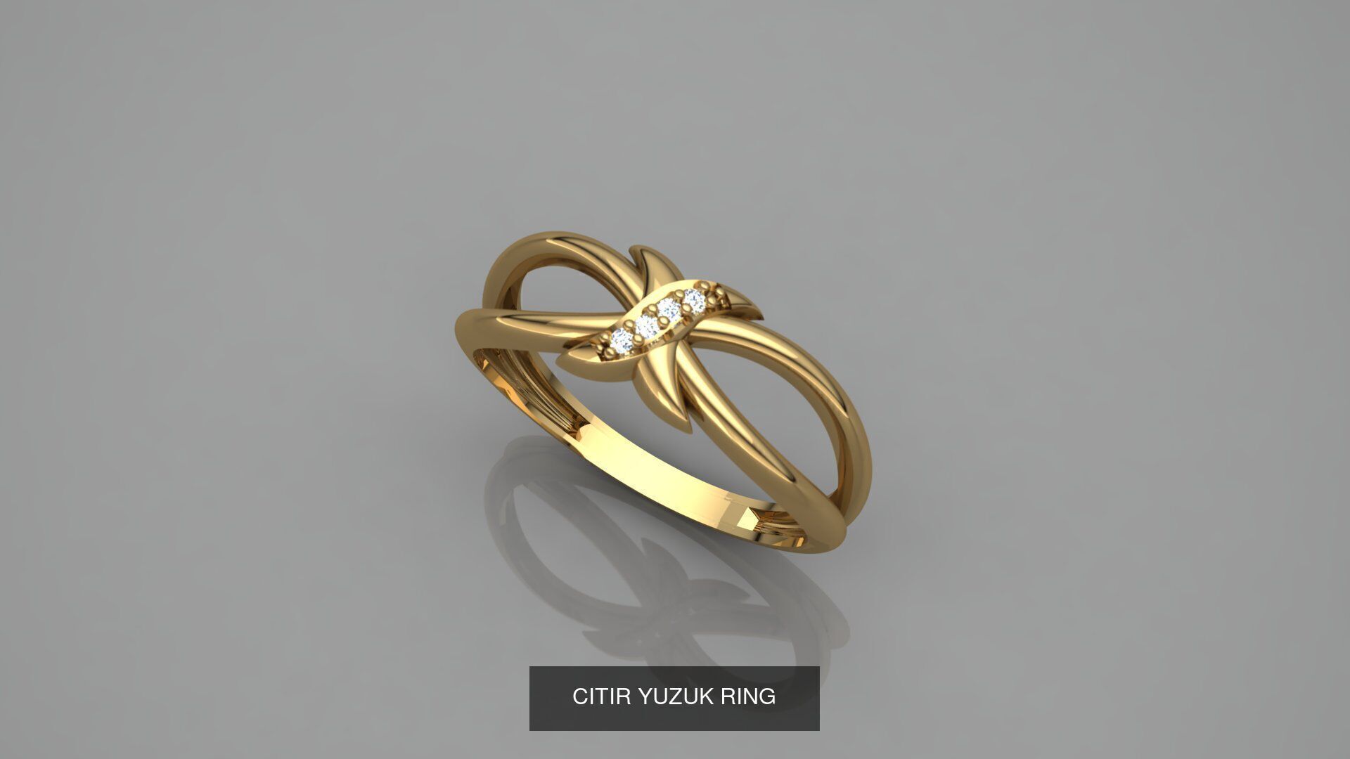 CITIR YUZUK 3D Model Collection_15