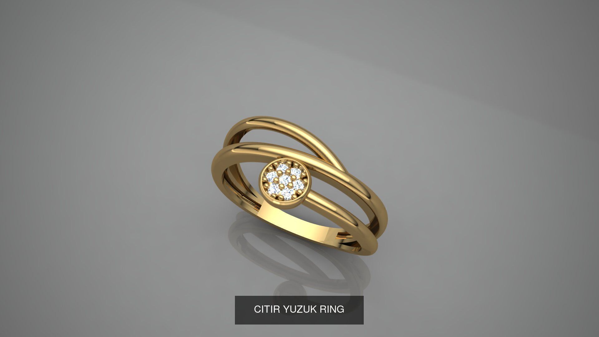 CITIR YUZUK 3D Model Collection_20