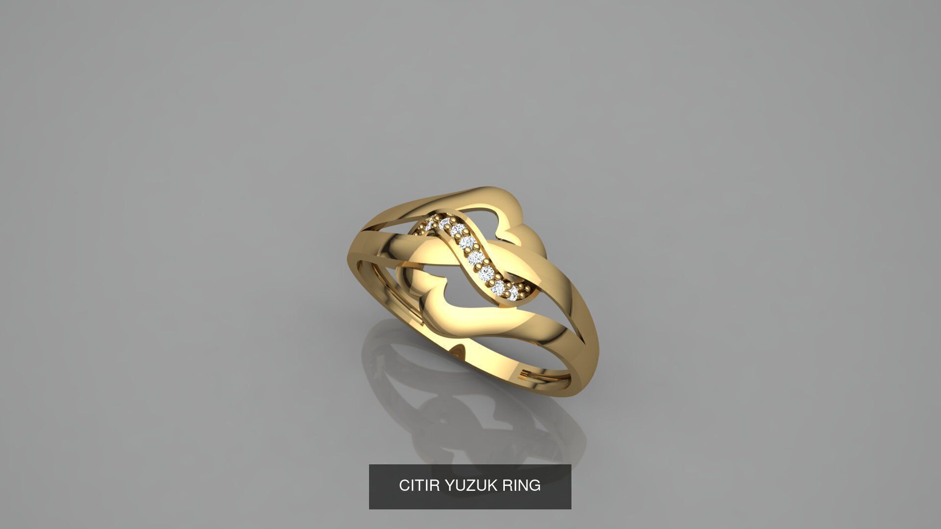 CITIR YUZUK 3D Model Collection_14
