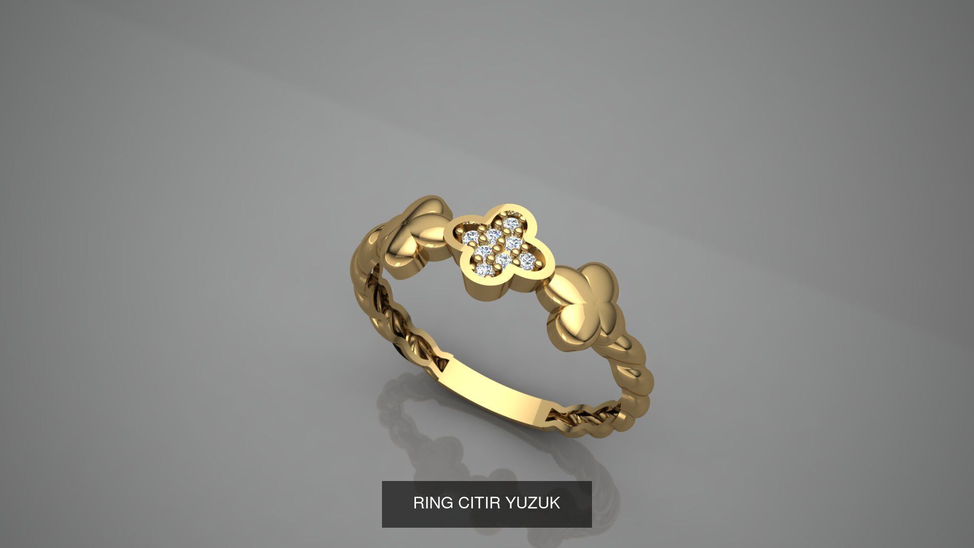 CITIR YUZUK 3D Model Collection_5