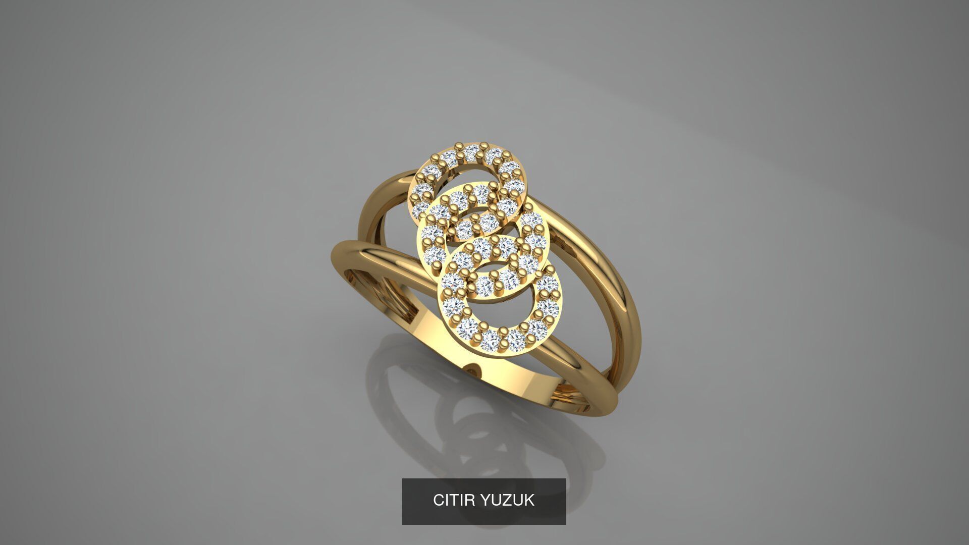 CITIR YUZUK 3D Model Collection_23