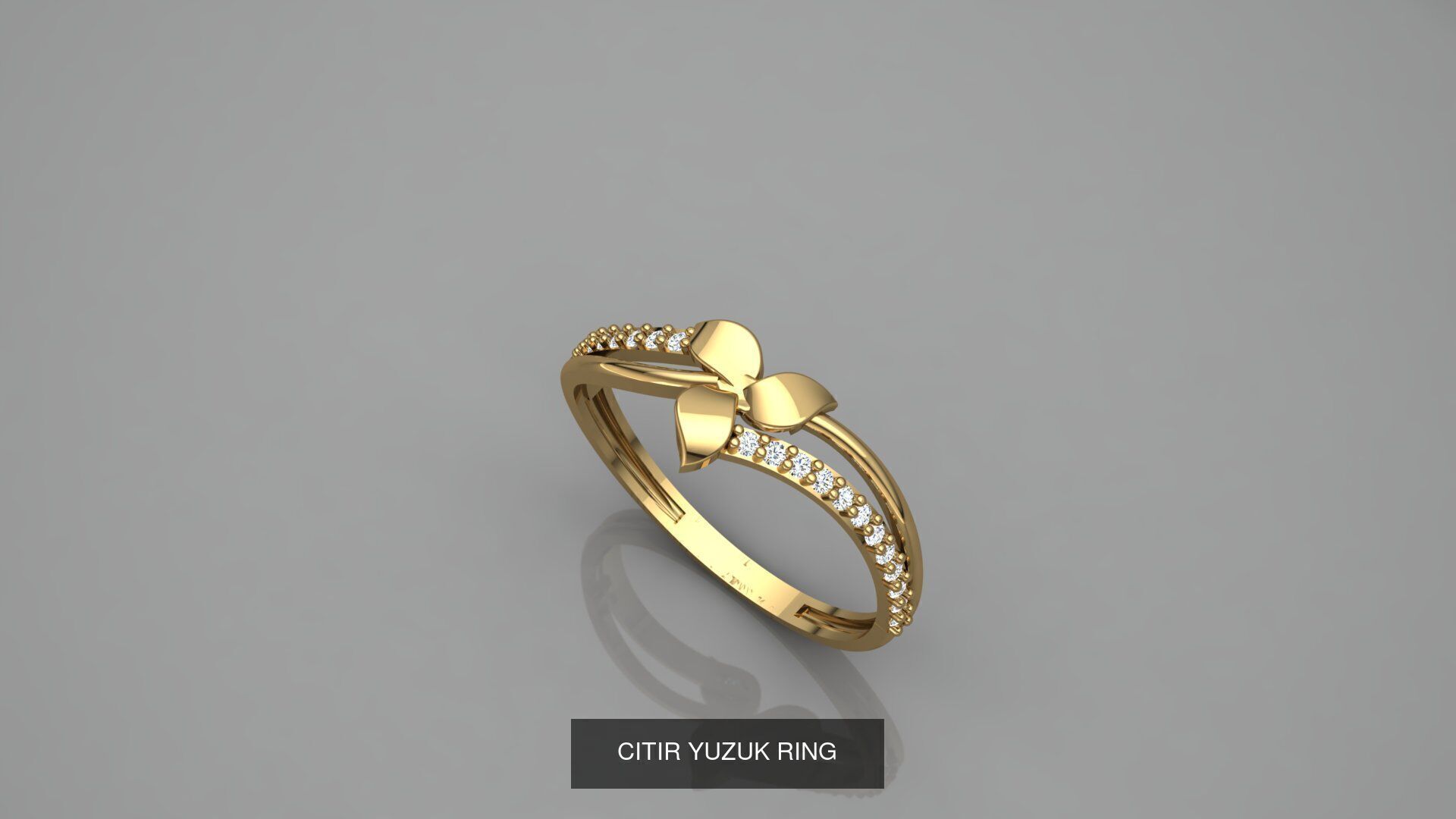 CITIR YUZUK 3D Model Collection_13