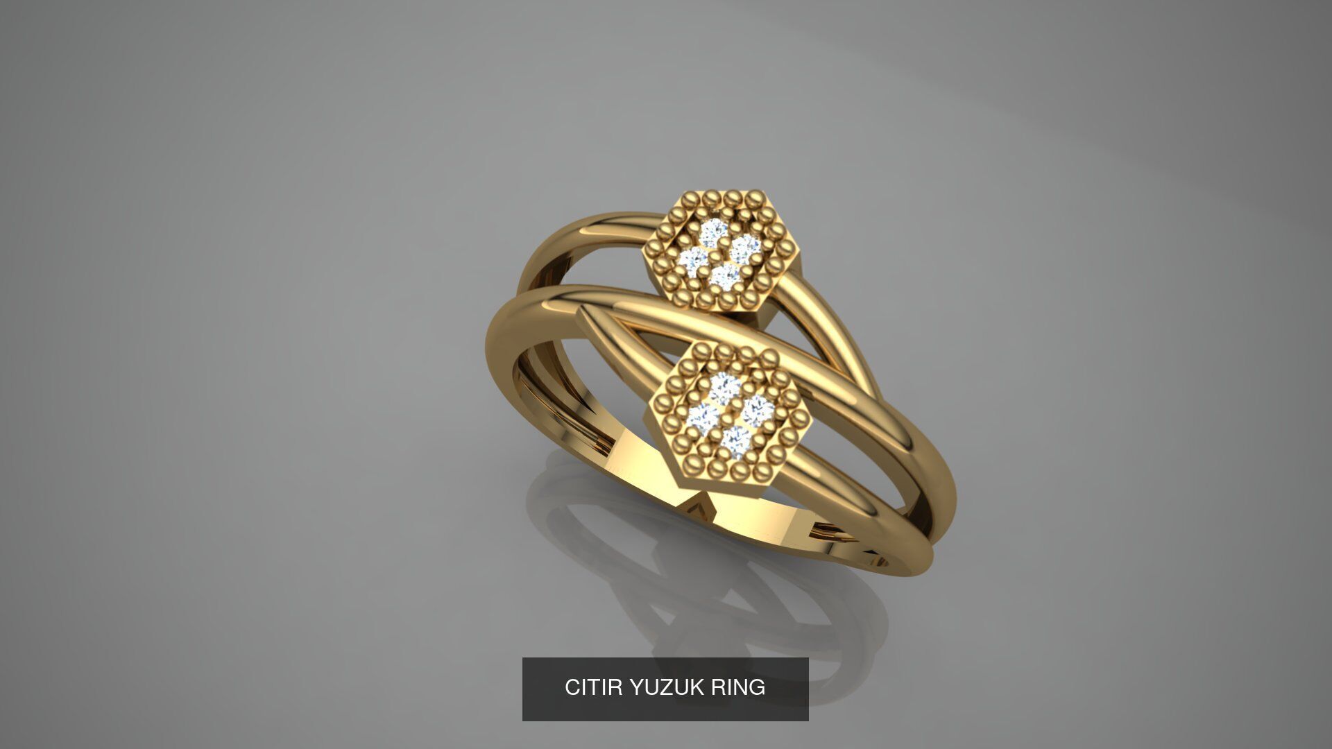 CITIR YUZUK 3D Model Collection_21