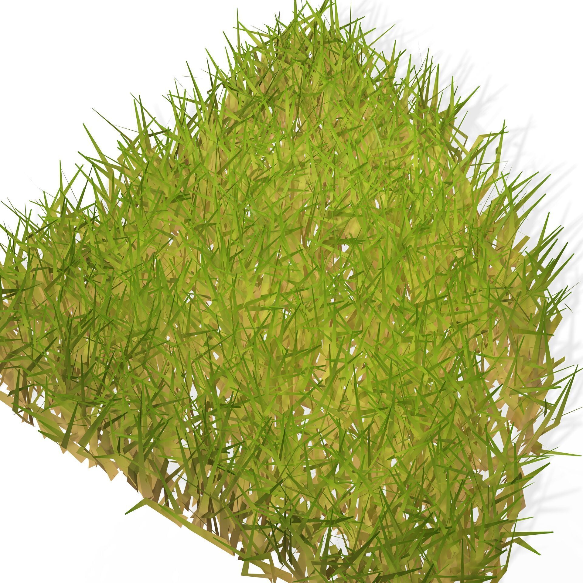GRASS  PLANT NATURE FLOWER Free 3D print model_1