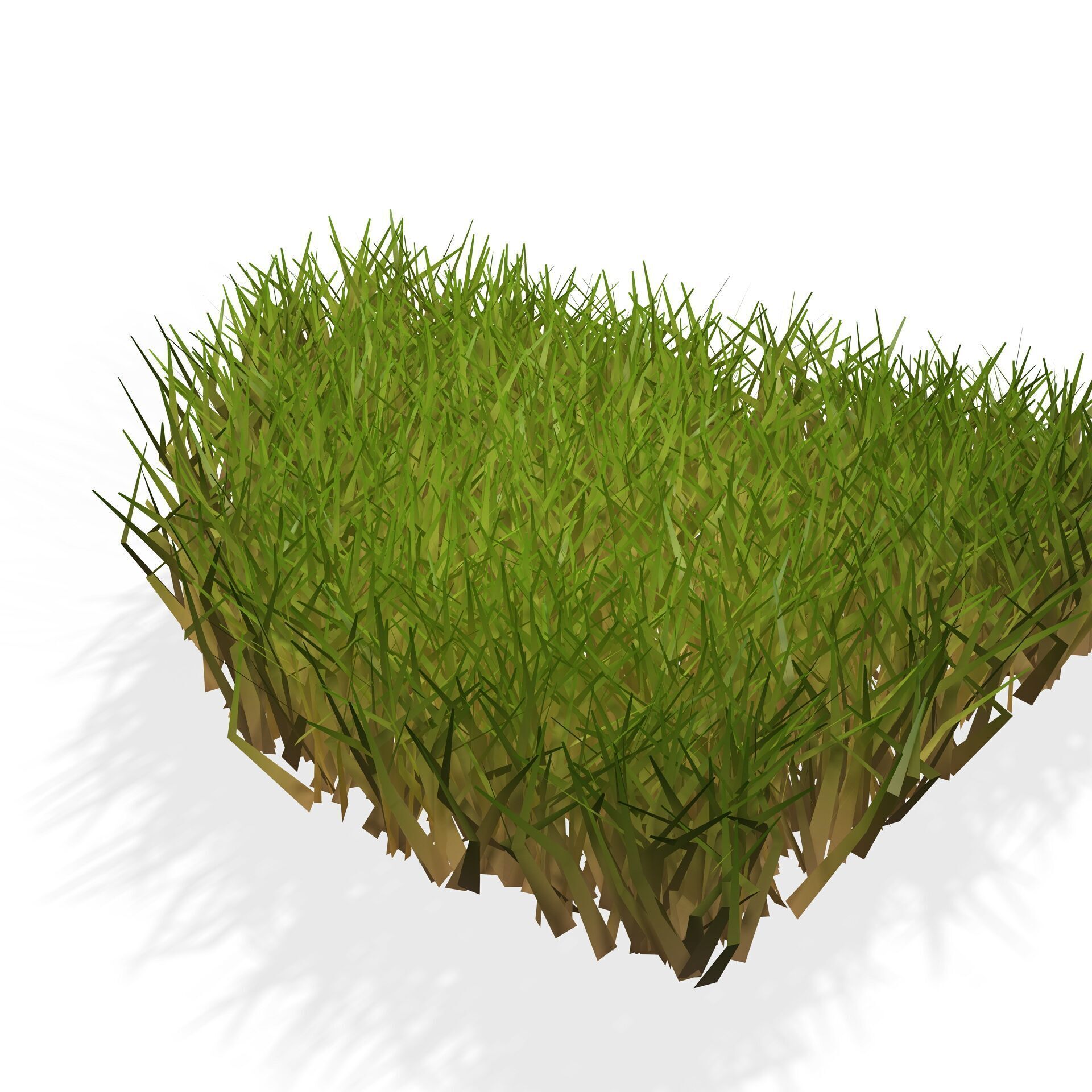 GRASS  PLANT NATURE FLOWER Free 3D print model_3