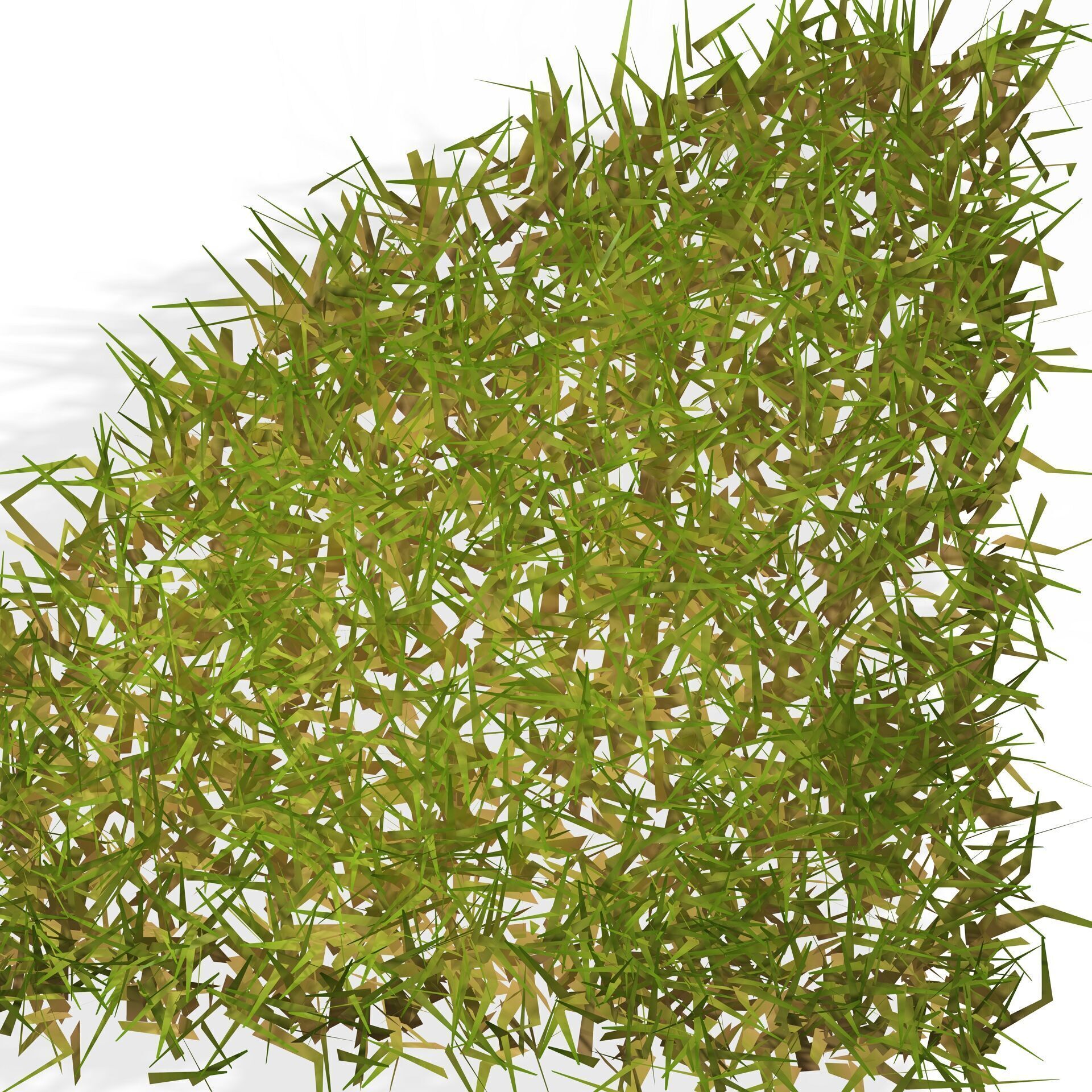 GRASS  PLANT NATURE FLOWER Free 3D print model_6