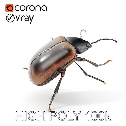 Realistic Beetle Model Pack for Rendering and Gaming Low-poly 3D model