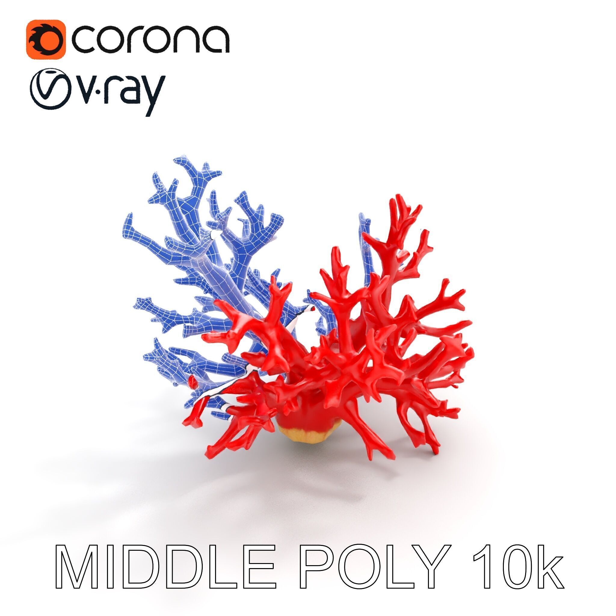 Red Coral Model Pack for Oceanic Environments Low-poly 3D model_22