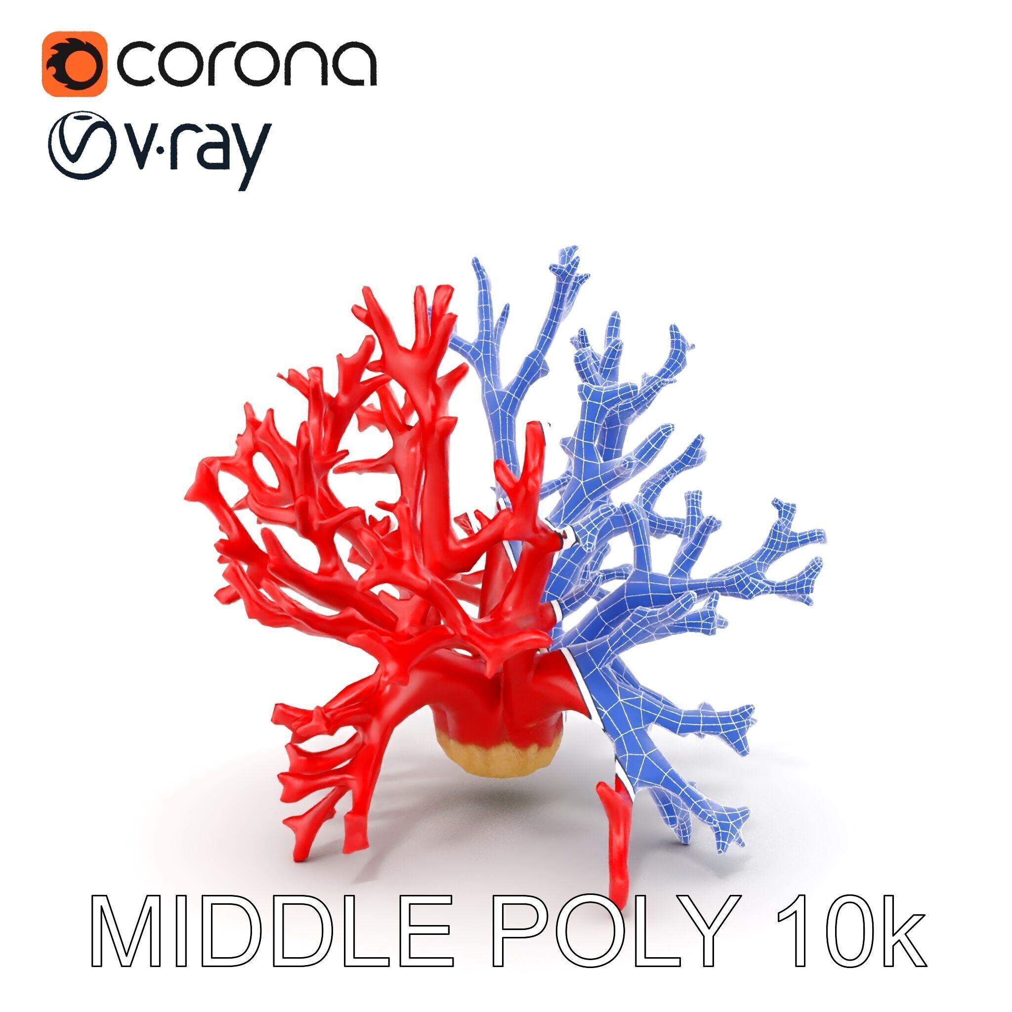 Red Coral Model Pack for Oceanic Environments Low-poly 3D model_24
