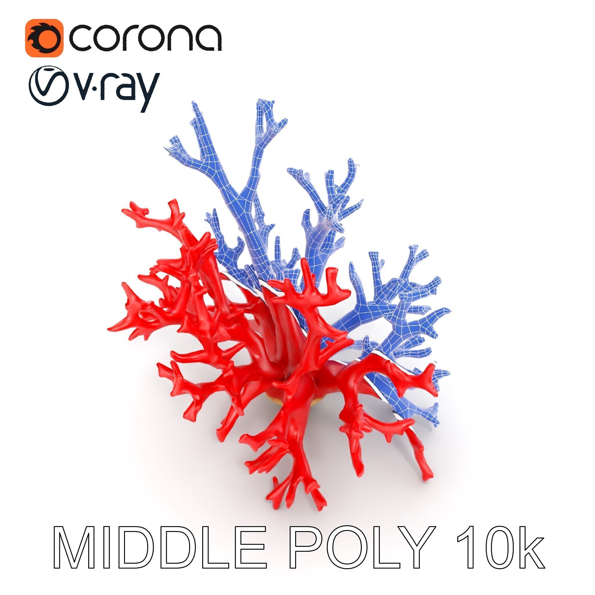 Red Coral Model Pack for Oceanic Environments Low-poly 3D model_27