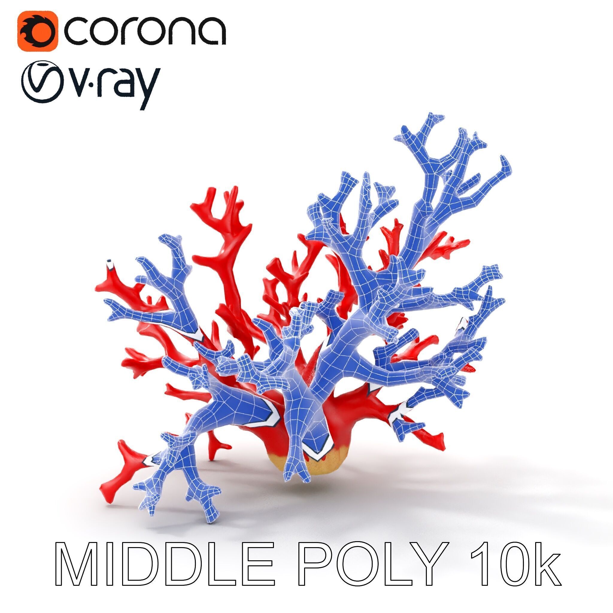 Red Coral Model Pack for Oceanic Environments Low-poly 3D model_30