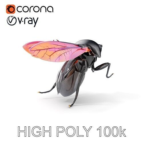 Detailed Insect Model Pack with Textured Wings Low-poly 3D model