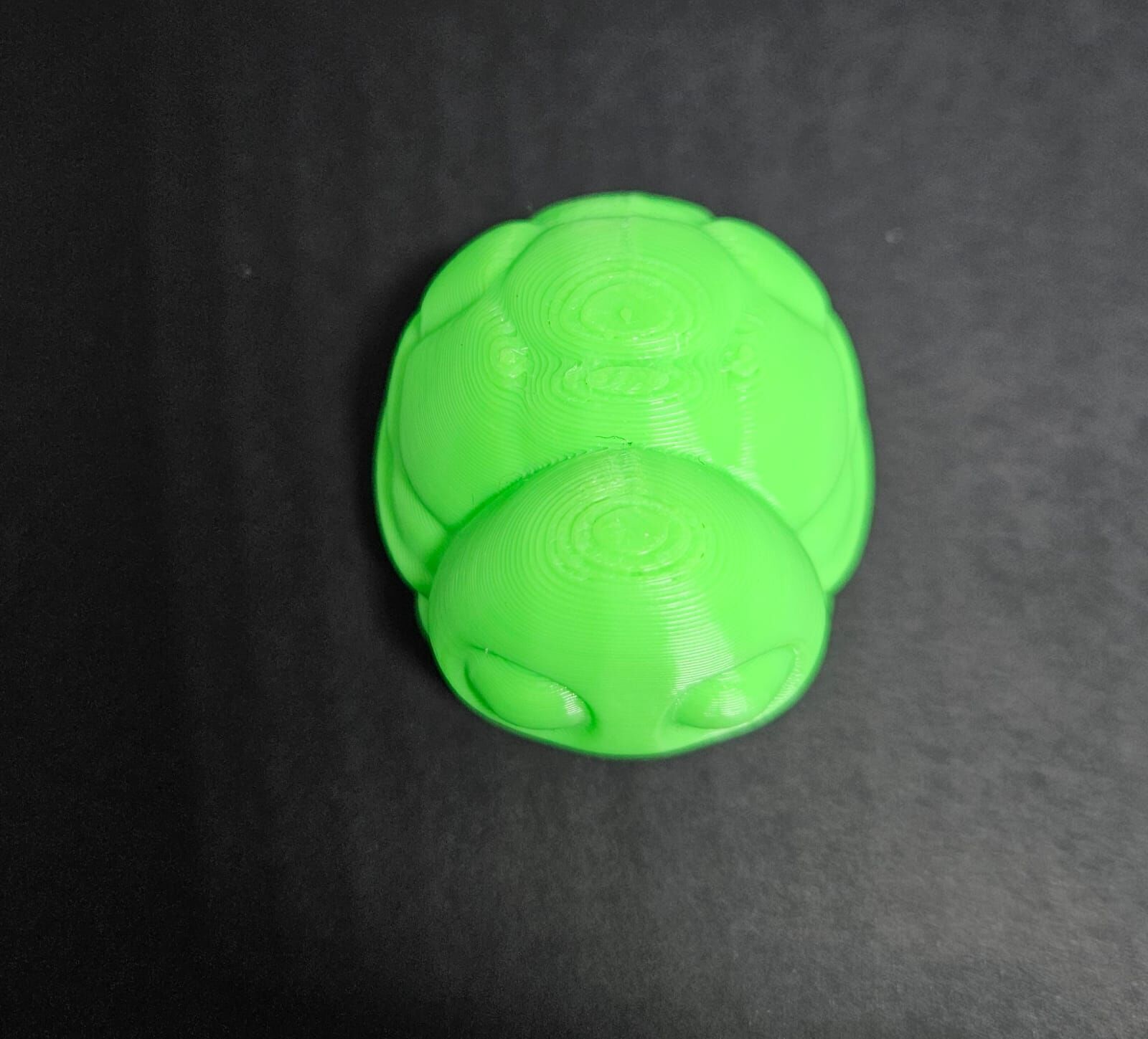 Cute Round Turtle and Keychain Version 3D print model_16