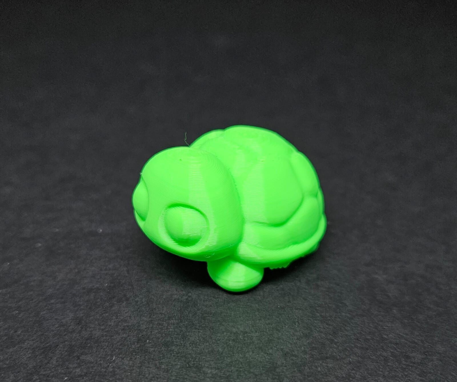 Cute Round Turtle and Keychain Version 3D print model_10