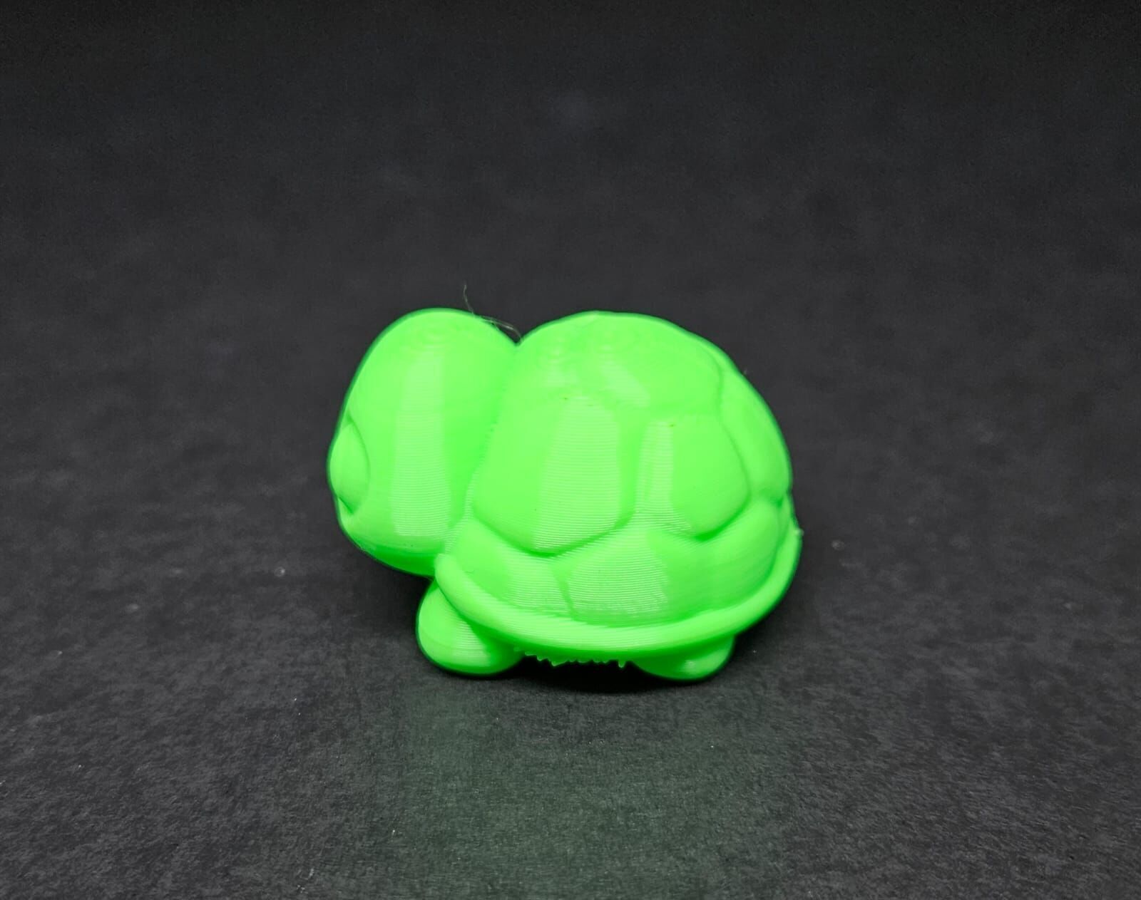 Cute Round Turtle and Keychain Version 3D print model_11
