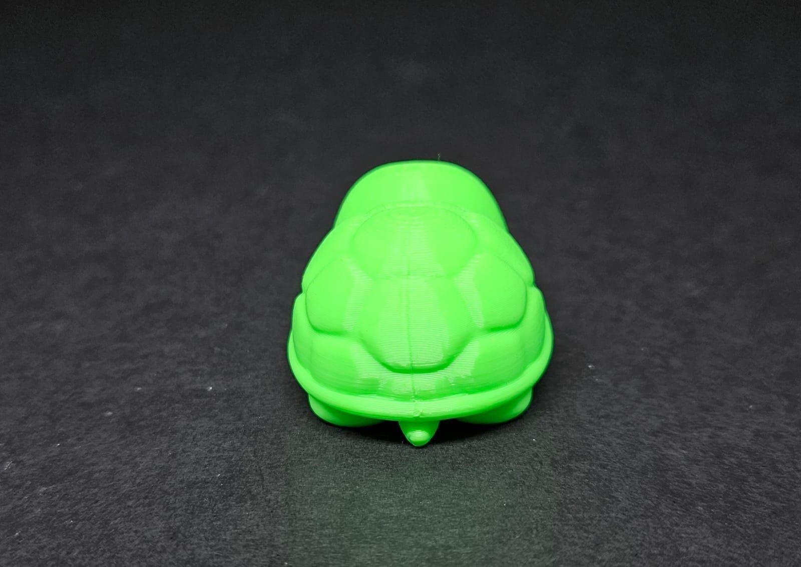 Cute Round Turtle and Keychain Version 3D print model_12