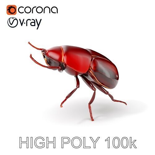 Realistic Beetle Model Pack for Rendering and Games Low-poly 3D model
