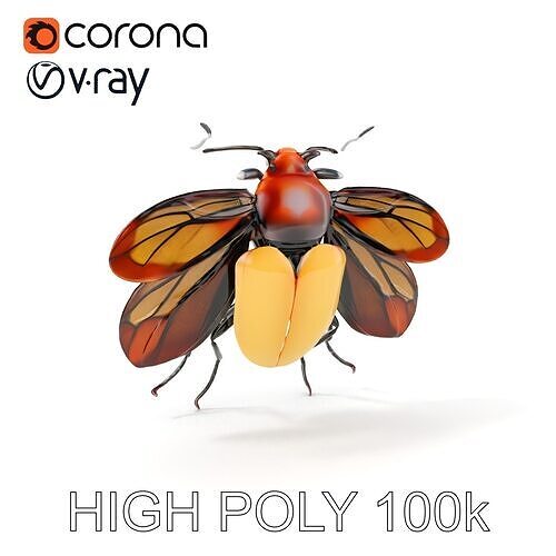 Realistic Beetle Model Pack Low-poly 3D model