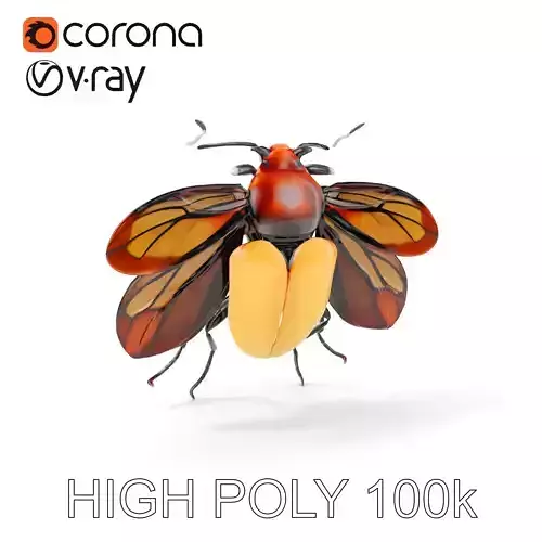 Realistic Beetle Model Pack Low-poly 3D model