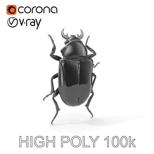 Stag Beetle Model Pack  Realistic D Detailed Collection Low-poly 3D model
