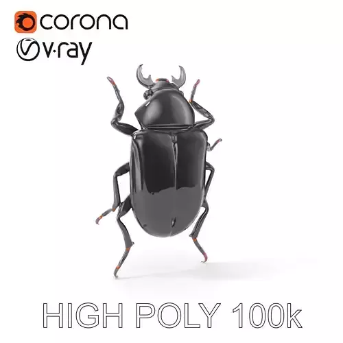 Stag Beetle Model Pack  Realistic D Detailed Collection Low-poly 3D model