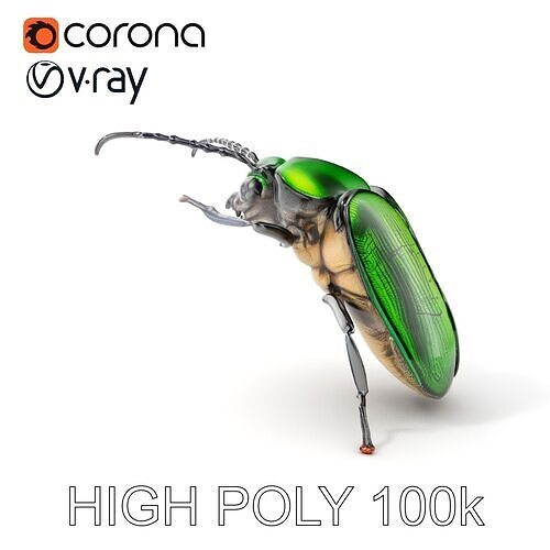 Iridescent Beetle Model Pack for HighDetail Rendering and Games Low-poly 3D model