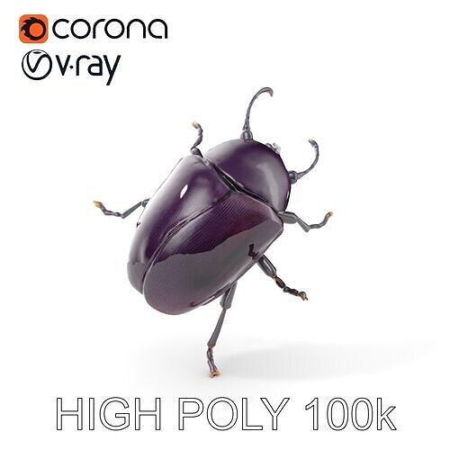 Iridescent Beetle D Model Pack with High Detail Low-poly 3D model