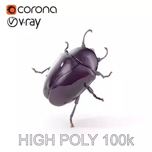 Iridescent Beetle D Model Pack with High Detail Low-poly 3D model