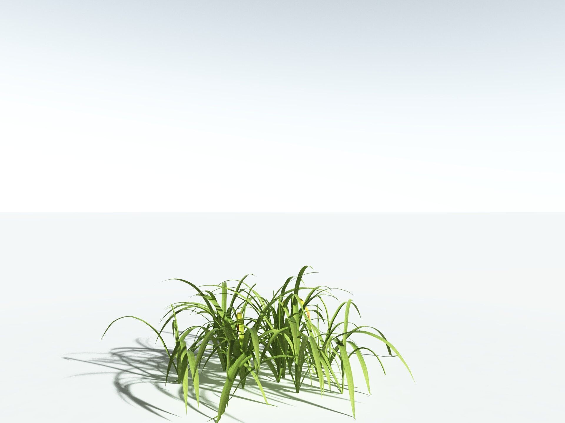 EVERYPlant Pendulous Sedge LowPoly Low-poly 3D model_24