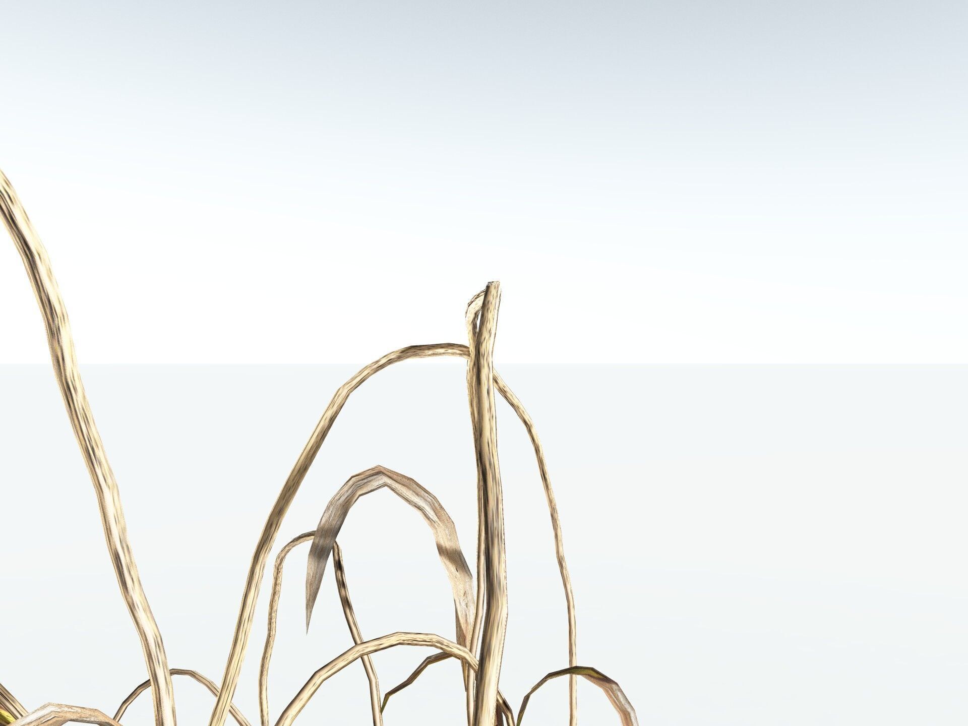 EVERYPlant Pendulous Sedge LowPoly Low-poly 3D model_19